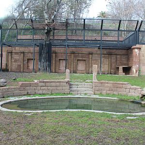 Tiger Enclosure - Jan 2014