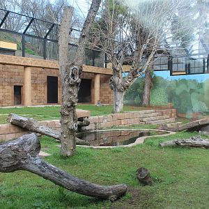 Jaguar Enclosure - Jan 2014
