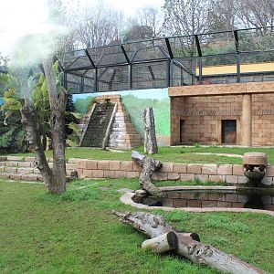 Jaguar Enclosure - Jan 2014