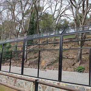 Iberian Wolf Enclosure - Jan 2014