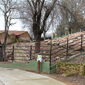 Barbary Sheep Enclosure - Jan 2014