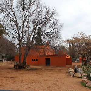 Zebra, Ostrich, Wildebeest Enclosure - Jan 2014