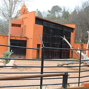 Zebra, Ostrich & Wildebeest Enclosure and House