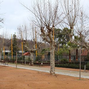 Flamingo and Waders Aviary