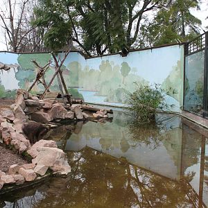 Mandrill Enclosure - Jan 2014