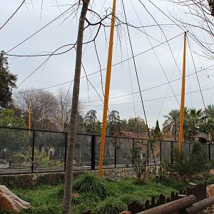 Flamingo and Waders Aviary - Jan 2014