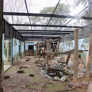 Lemur Enclosure