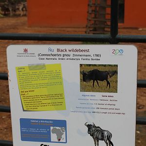 Wildebeest Signage - Jan 2014