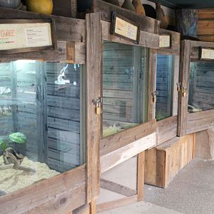 exhibits in Nairobi Village