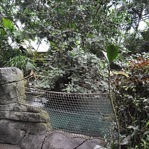 South America Dome - Manatee Pool