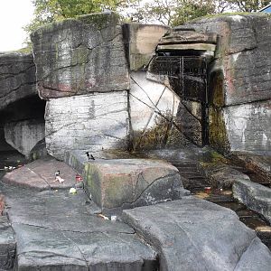 Old Polar Bear Enclosure