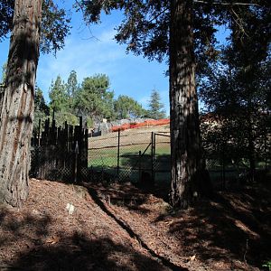 Tiger Trails construction