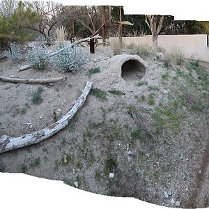 panorama of coati exhibit