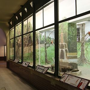 Inside the Austarlia House