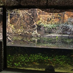 Inside the Australia House