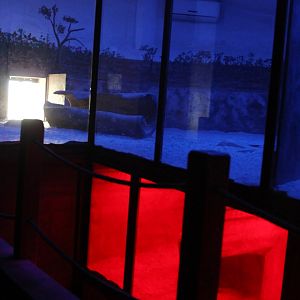 Wombats House inside