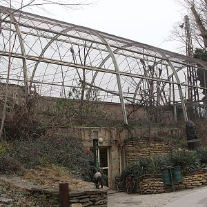 South America Aviary