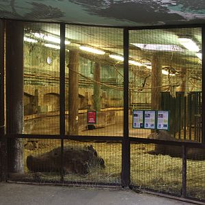 Inside South America House