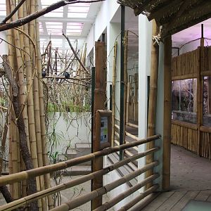 Inside the South East Asia House