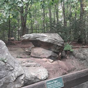 Northwoods - Red Wolf