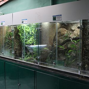 Terrariums for amphibians