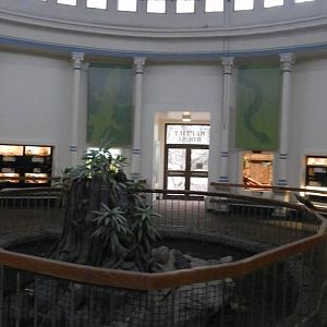 Feb. 2014 - Reptile House - Interior