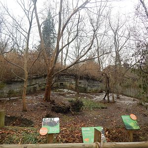 Feb. 2014 - Right Red Panda Exhibit