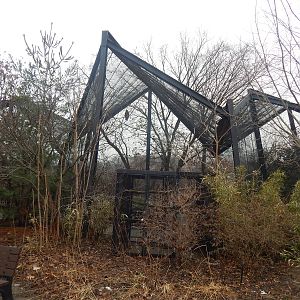 Feb. 2014 - Kea Encounter/Lorikeet Landing