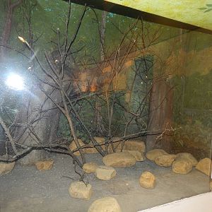 Feb. 2014 - World of the Insect - Future Guam Kingfisher Exhibit