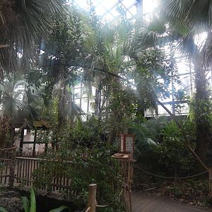 Feb. 2014 - Manatee Springs - Greenhouse