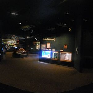 Feb. 2014 - Manatee Springs - Interior Panorama