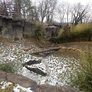 Feb. 2014 - Cat Canyon - White Tiger Exhibit with some snow