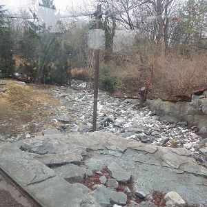 Feb. 2014 - Cat Canyon - Snow Leopard Exhibit (with some snow)