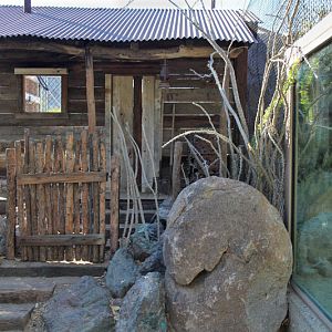 jaguar transfer cage