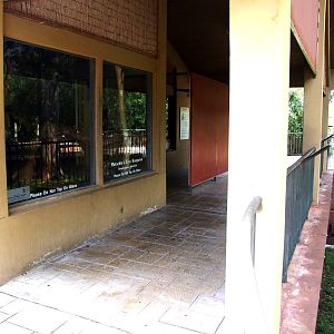 Tree Kangaroo and Koala Exhibits at Miami, 12/10/13