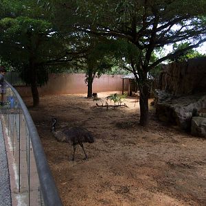 Emu Enclosure at Miami, 12/10/13