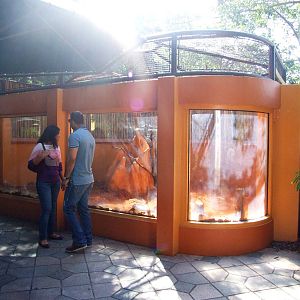 Meerkat Enclosure at Miami, 12/10/13