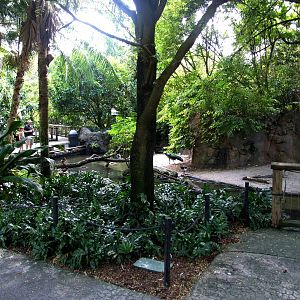 Asian Aviary Interior at Miami, 12/10/13