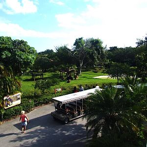 Gorilla Enclosure at  Miami, 12/10/13