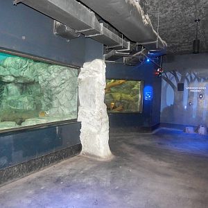 Feb. 2014 - Night Hunters - Pallas' Cat + Fossa Exhibits