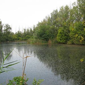 Artificial pond (one of 4)