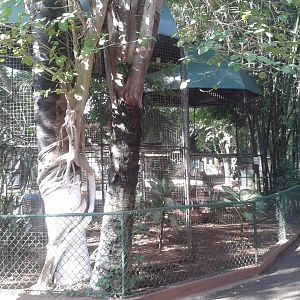 Bird of prey aviaries