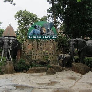 Elephants Display