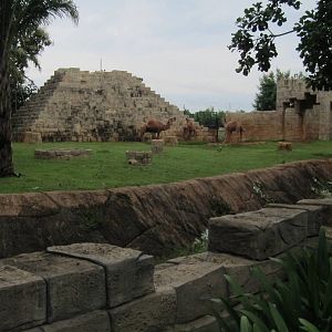 Camel Enclosure