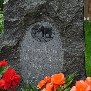 Memorial Marker for Annabelle (summer view)