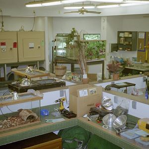 Herpetarium Interior