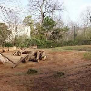 Black Rhinoceros Exhibit - Masai Mara