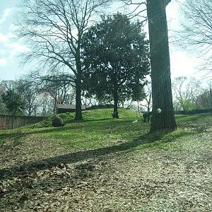 Lowland Gorilla Exhibit - African Rain Forest