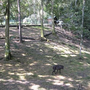Usti nad Labem-Serow Exhibit