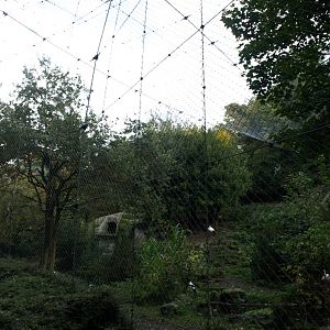 Hannover Zoo - Free-flight aviary